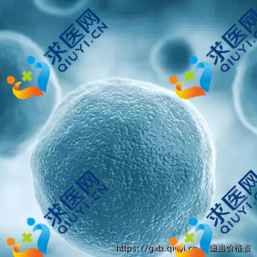 干细胞价格表