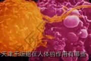 天津干细胞在人体的作用有哪些