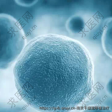 南京干细胞移植治疗