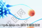 深圳干细胞注射