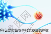 石家庄什么是生命银行和免疫细胞存储