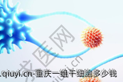 重庆一组干细胞多少钱