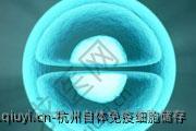杭州自体免疫细胞储存