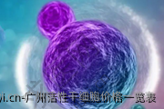 广州活性干细胞价格一览表
