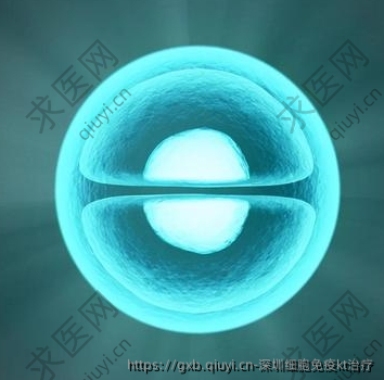 深圳细胞免疫kt治疗