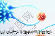 广州干细胞能用于临床吗