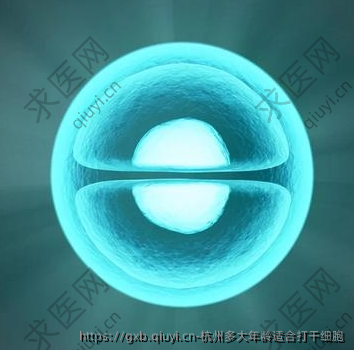 杭州多大年龄适合打干细胞