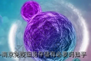 南京免疫细胞存储有必要吗知乎