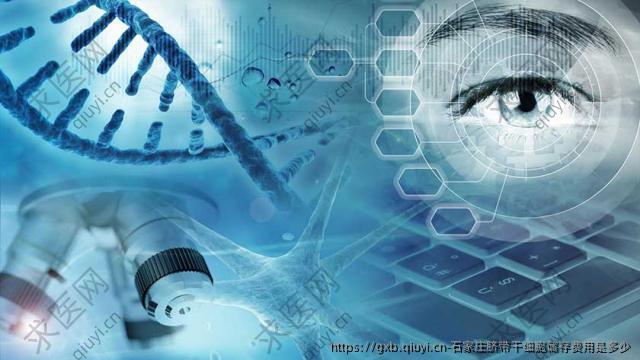 石家庄脐带干细胞储存费用是多少