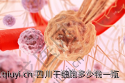 四川干细胞多少钱一瓶