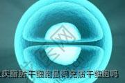 重庆脂肪干细胞是间充质干细胞吗