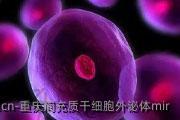 重庆间充质干细胞外泌体mir