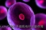 广州打干细胞有什么副作用