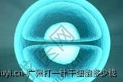 广州打一针干细胞多少钱