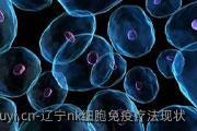 辽宁nk细胞免疫疗法现状