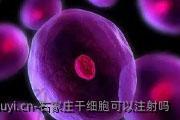 石家庄干细胞可以注射吗