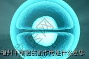 福州干细胞的副作用是什么意思