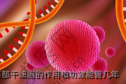 深圳面部干细胞的作用和功效能管几年
