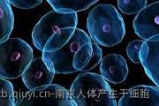 南京人体产生干细胞