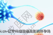 辽宁nk细胞偏高影响怀孕吗