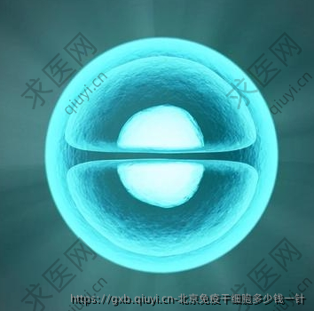 北京免疫干细胞多少钱一针