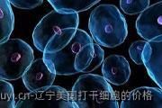 辽宁美国打干细胞的价格
