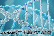 辽宁干细胞的八大功效