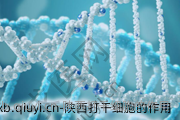 陕西打干细胞的作用