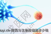陕西冷冻免疫细胞多少钱