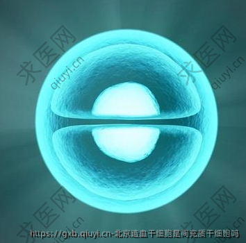 北京造血干细胞是间充质干细胞吗