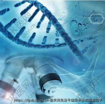 重庆间充质干细胞分泌的细胞因子