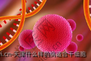 天津什么样的病适合干细胞