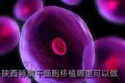 陕西卵巢干细胞移植哪里可以做
