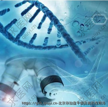 北京存胎盘干细胞真的有用吗