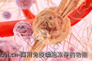 四川免疫细胞冻存的功能