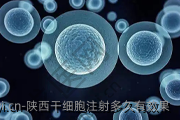 陕西干细胞注射多久有效果