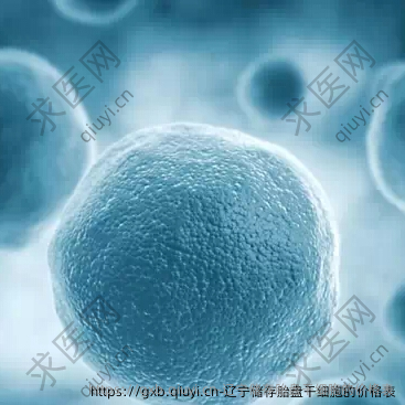 辽宁储存胎盘干细胞的价格表