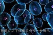 天津脐带间充质干细胞多少钱一针青岛