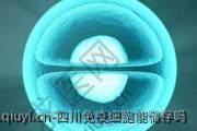 四川免疫细胞能储存吗