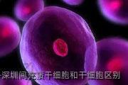 深圳间充质干细胞和干细胞区别