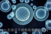 石家庄干细胞有美容功效吗