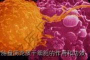 辽宁胎盘间充质干细胞的作用和功效