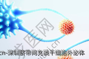 深圳脐带间充质干细胞外泌体