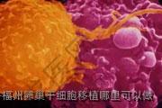 福州卵巢干细胞移植哪里可以做