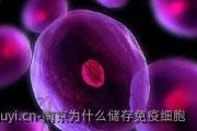 南京为什么储存免疫细胞