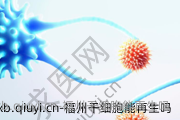 福州干细胞能再生吗