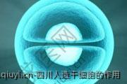 四川人造干细胞的作用