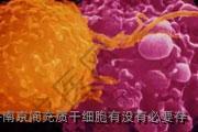 南京间充质干细胞有没有必要存