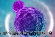 石家庄国内干细胞移植有名的医院排名
