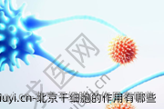 北京干细胞的作用有哪些